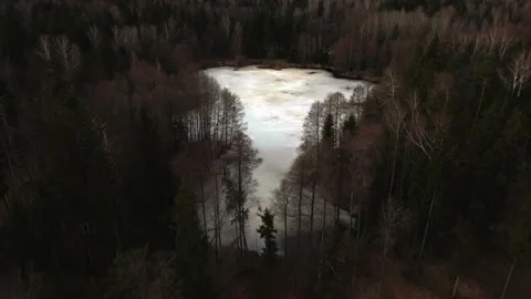 Frozen lakes in the middle of the forest, early spring Stock Footage 237958502