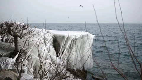 Frozen lakeside Stock Footage 86873231