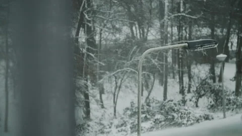 Frozen Lamppost Stock Footage 148102169