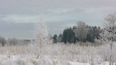 Frozen Land Видео 8519082