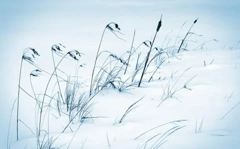 Frozen land Stock Photos