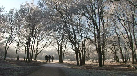 Frozen landscape 2 Stock Footage 784064