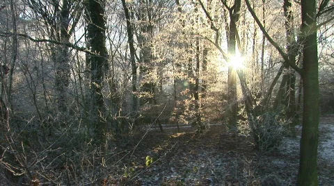 Frozen landscape 3 Stock Footage 784106