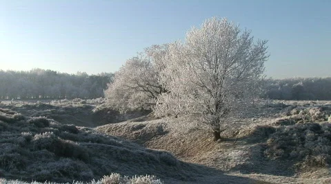 Frozen landscape 4 Stock Footage 784143