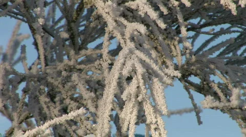Frozen landscape 5 Stock Footage 784171