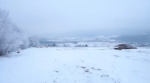 Frozen landscape Stock Footage 35240165