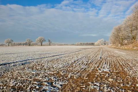 Frozen landscape Stock Photos