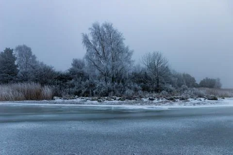 A frozen landscape 库存照片