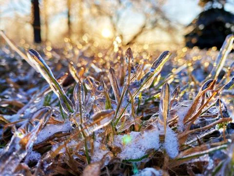 Frozen Landscape 库存照片