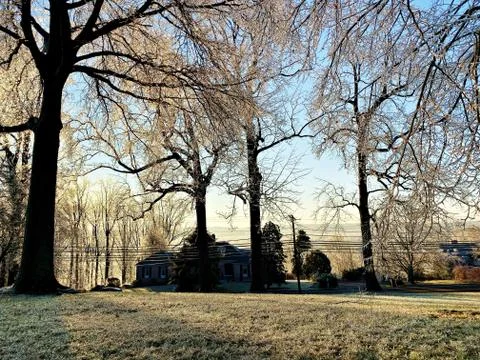 Frozen Landscape Stock Photos