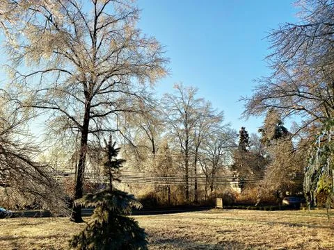 Frozen Landscape Stock Photos