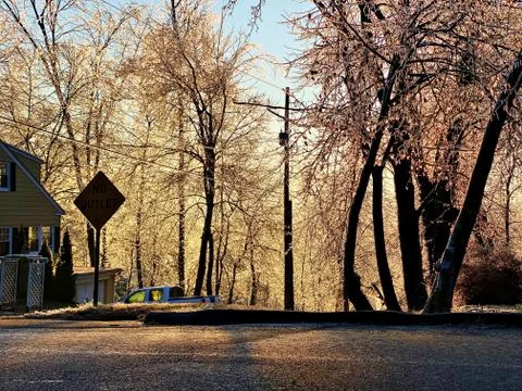 Frozen Landscape Stock Photos