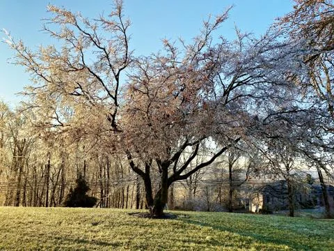 Frozen Landscape Stock Photos