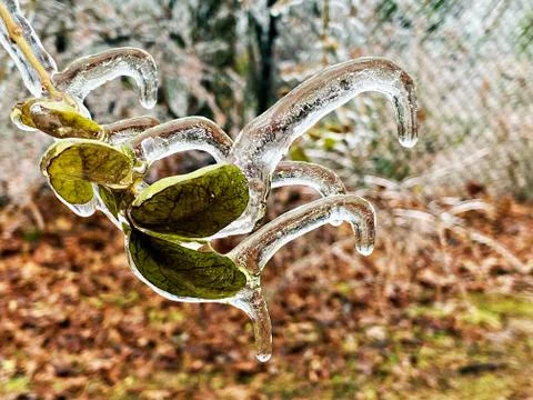 Frozen Landscape Stock Photos