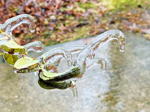 Frozen Landscape Stock Photos