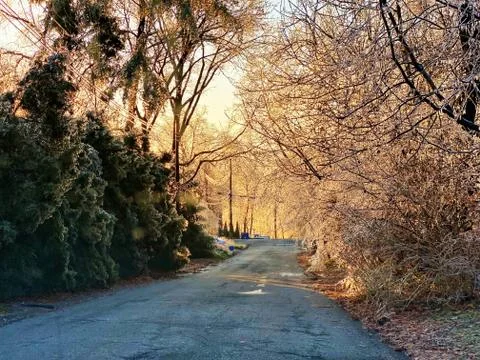 Frozen Landscape Stock Photos