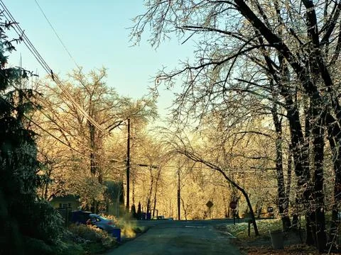 Frozen Landscape Stock Photos