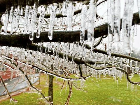Frozen Landscape Stock Photos