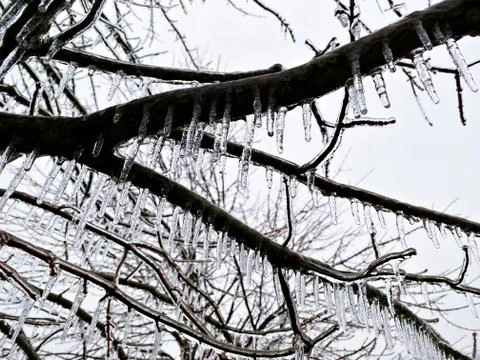 Frozen Landscape Stock Photos