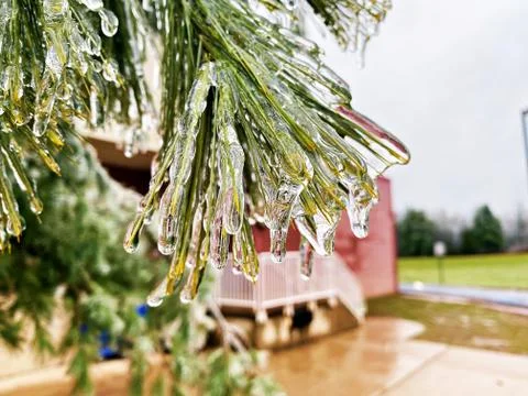 Frozen Landscape Stock Photos