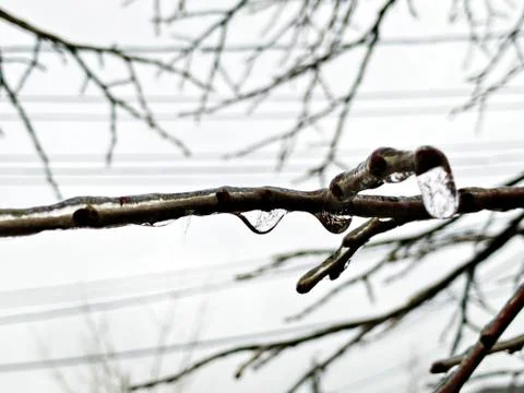 Frozen Landscape Stock Photos