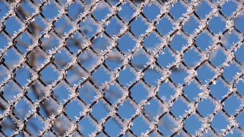 Frozen lattice in the winter Stock Footage 128899306