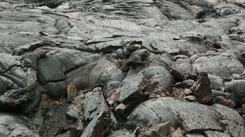 Frozen lava flow resulting from eruption Flat Tolbachik in 2012 Stock Footage 70382554