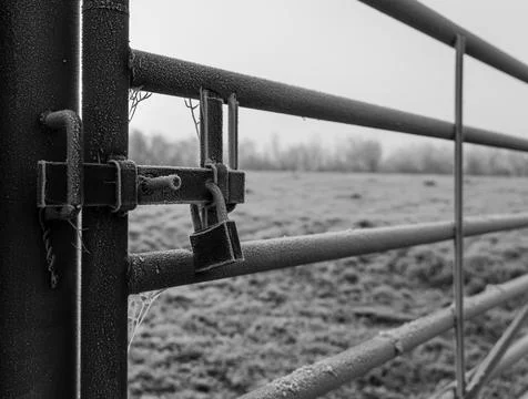Frozen lock on a gate Stock Photos