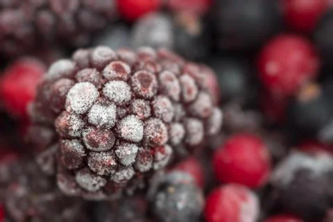 Frozen loganberry Stock Photos