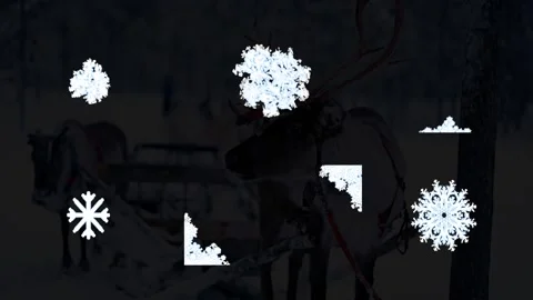 Frozen Lower Thirds And Textures | After Effects 스톡 After Effects