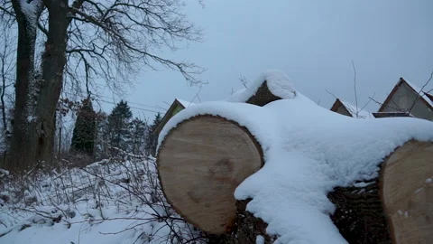 Frozen lumbers stacking on snowy hill, woodpile covered of snow, chalets Stock Footage 168599110