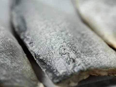 Frozen Mackerel on a Plate Stock Photos