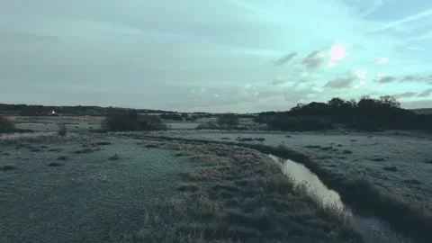 Frozen Marshland one Video stock 231028862