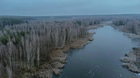 Frozen Marshland in Winter Stock Photos