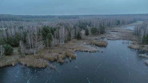Frozen Marshland in Winter Stock Photos