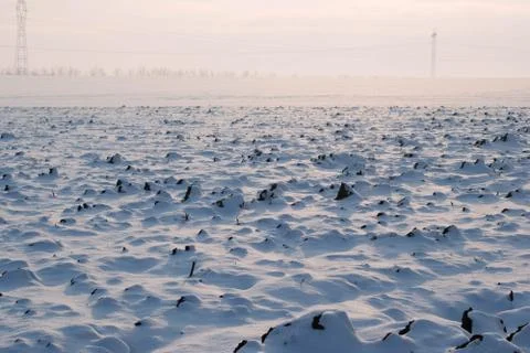 Frozen meadow Stock Photos