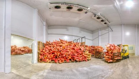 Frozen meat at a storage Stock Photos