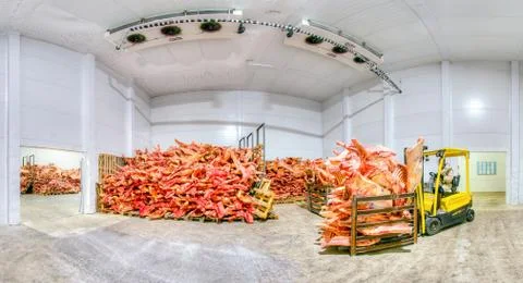 Frozen meat at a storage Stock Photos