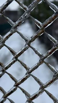 Frozen metal mesh with ice texture in winter Stock Photos