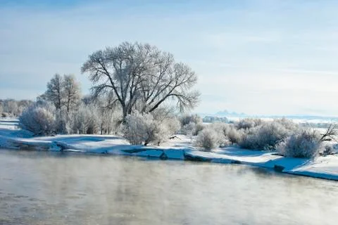 Frozen morning Stock Photos