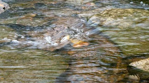 Frozen Motion: High-Speed Close-Up of Stream Ripple Stock-Fotos