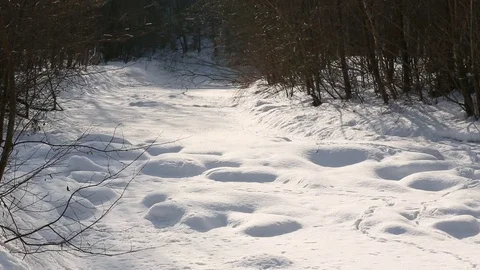 Frozen mountain river Becva covered with a lot of snow in the Beskydy Mountains Stock Footage 82964409