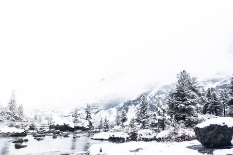 Frozen mountain river with snow covered pines. Winter in mountains Stock Photos