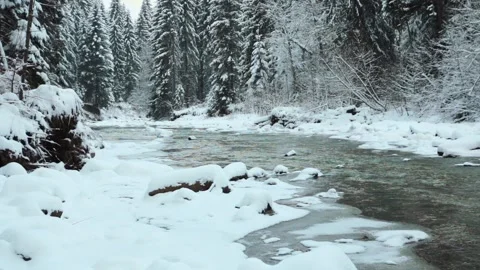 Frozen mountain river in spruce snowy forest Vídeos de archivo 100984516