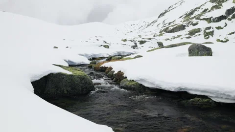 Frozen mountain stream with moss-covered rocks and thick snow Video stock 306152081