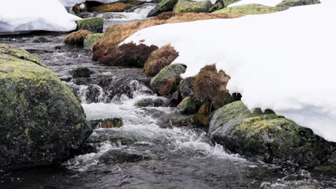 Frozen mountain stream with moss-covered rocks and thick snow Video stock 306152115