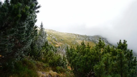 Frozen mountain with trees in autumn Stock Footage 119090724