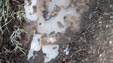 Frozen mud puddle on a way Stock Footage 120957309