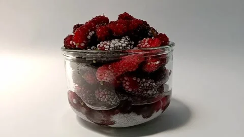 Frozen mulberry time lapse Video stock 289291013