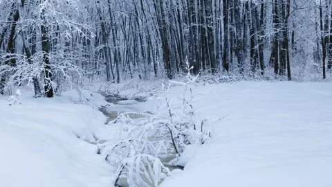 Frozen Narrow River Covered with Snow in a Winter Forest Stock Footage 289894154